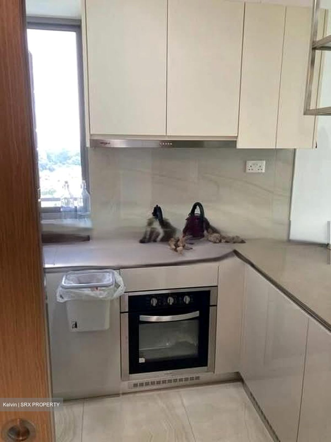 High Park Residences (D28), Apartment #566153951